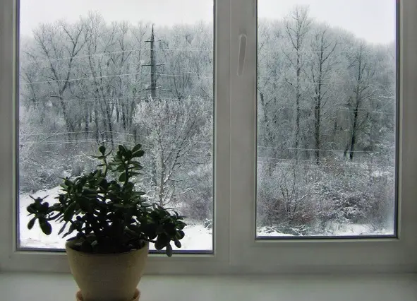 Красивое окно зимой