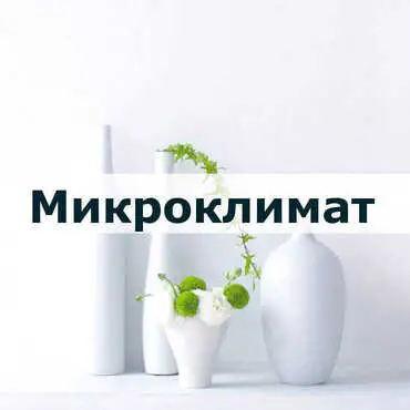 Микроклимат